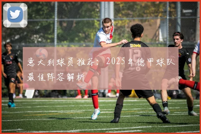 意大利球员推荐：2025年德甲球队最佳阵容解析