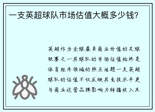 一支英超球队市场估值大概多少钱？